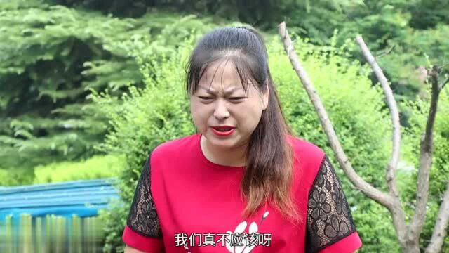 怀孕女流浪外地被欺负,董事长好心收留,得知怀孕女身份坐不住了