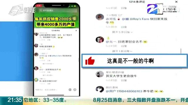 90后大学生回乡创业 这个“放牛娃”有点“牛”