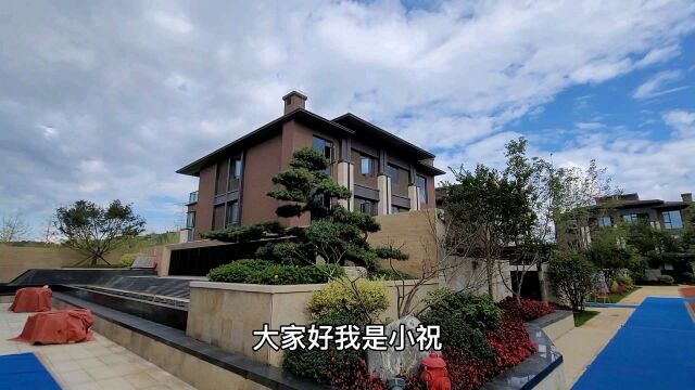 官渡区螺蛳湾旁双拼大别墅花园大地下两层设计亮瞎眼了除了大大大