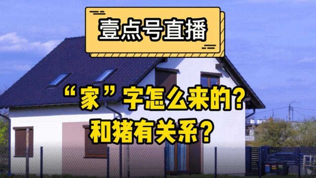 果然视频ⷨ𖣥‘𓦱‰字课丨“家”字怎么来的?下面为何是头猪?