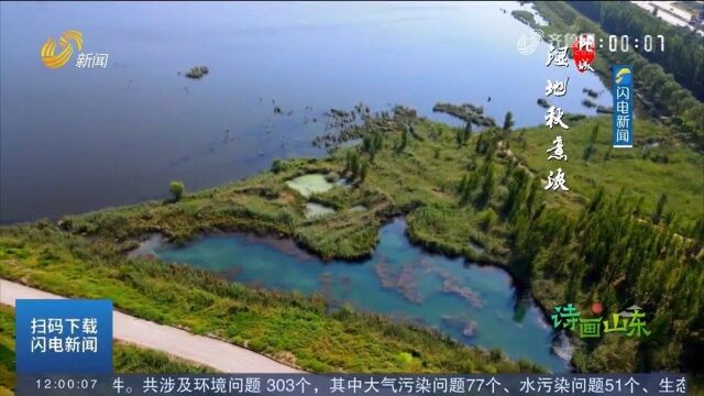 如诗如画!邹城:湿地秋意浓,共赏好风景