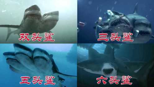 影视中的多头鲨鱼，你觉得哪个更可怕，鲨鱼两个头能变成六个头#电影HOT短视频大赛 第二阶段#