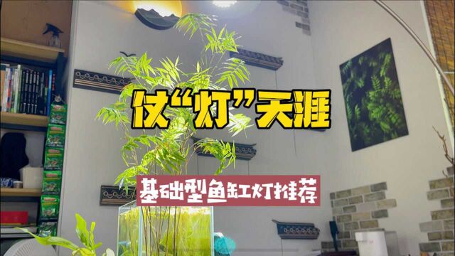 仗“灯”天涯 基础性鱼缸灯推荐