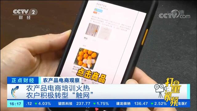 农产品电商培训火热,农户积极转型“触网”