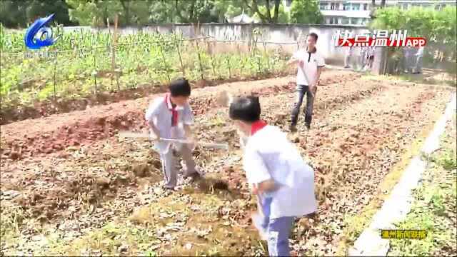 【温视频】温州市推动中小学研学实践教育基地助力“双减”工作