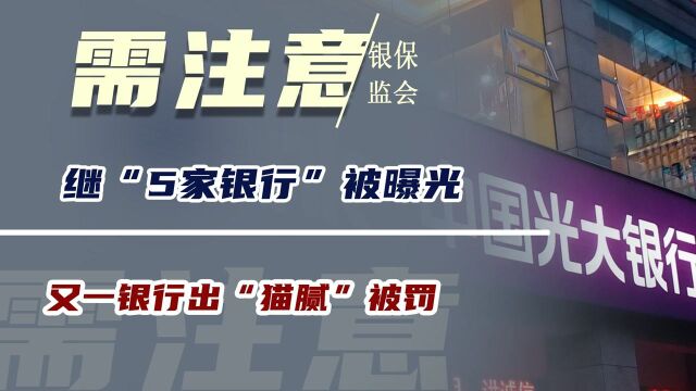 继“5家银行”被曝光,又一银行出“猫腻”被罚,大家需注意!