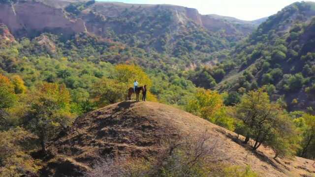 寻找秋天的美景,走进了原始野果林.