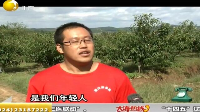 分享:推陈出新销售方式,大山好贺销往全国