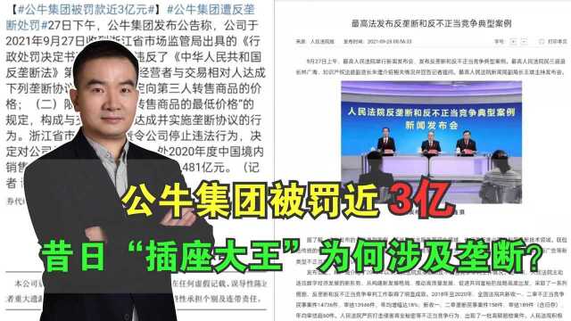 公牛集团被罚近3亿,昔日“插座大王”为何涉及垄断?