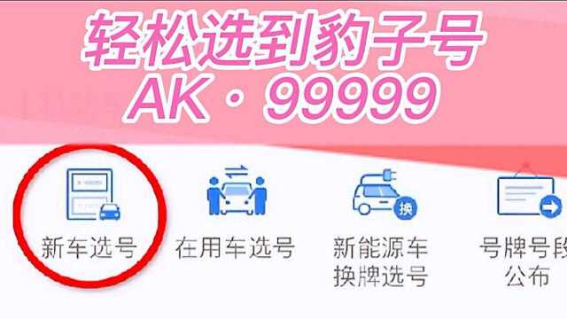 新车选车牌号别去车管所50选1,手把手教你自编选号,建议收藏!