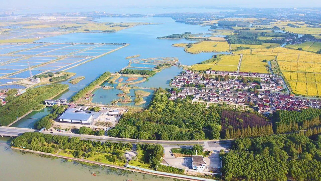 实拍江浙沪交界处这里是水乡客厅位置