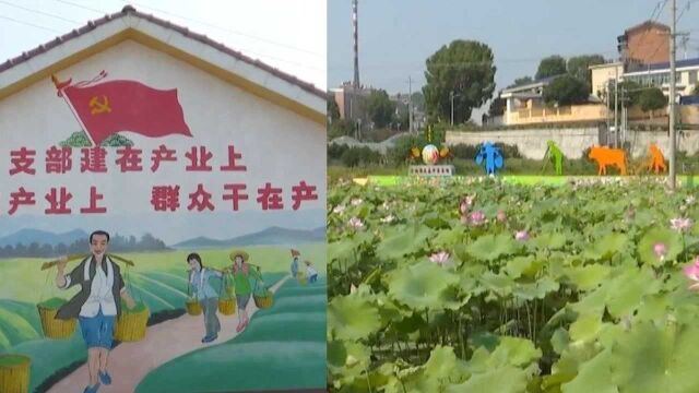 长沙全域推进美丽宜居村庄建设创“最美庭院”行动