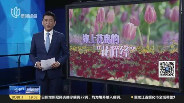 新闻透视:后花博时代,海上花岛的”花样经