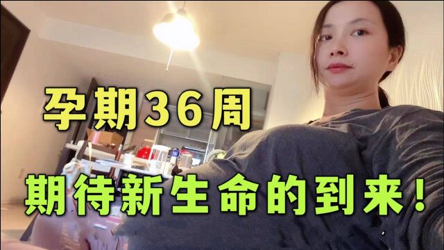 美玲酱孕期36周,肚子越来越大,日本老公:很期待混血娃降生