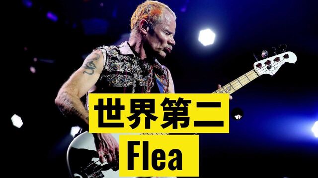 有史以来第二好的贝斯手红辣椒乐队Flea 