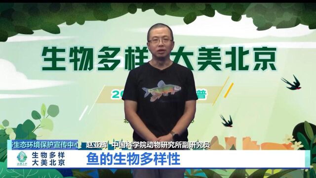 环保科普云讲座 | 鱼的生物多样性