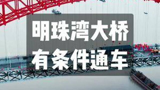 明珠湾大桥有条件限速通车,一桥通南北,南沙发展飞起~#基建狂魔