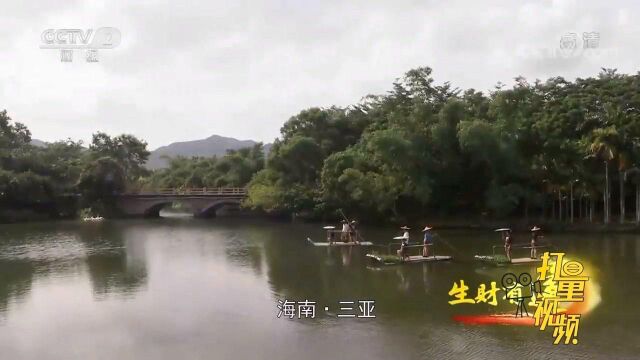 海南中廖村凭借着良好的生态环境,逐渐发展起了旅游业