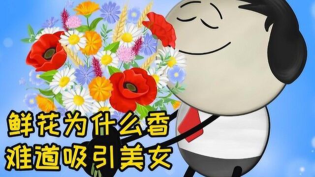 为什么鲜花闻起来是香的?是因为什么原理呢