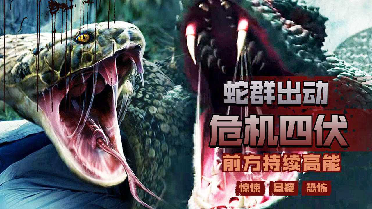 《巨兽狂蟒》神秘丛林危机四伏,捕蛇人难以招架 giant python