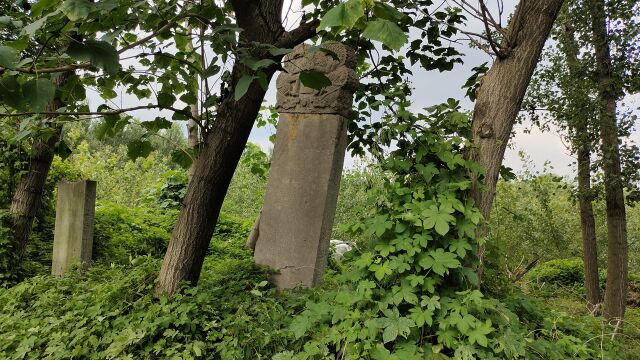 沂南大岱村:法云寺、石婆婆、上马石、石板巷,一个充满灵气的传统古村落!