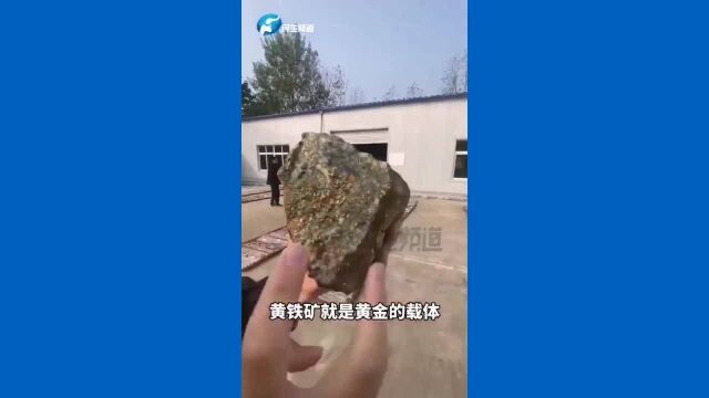 全网都在河南找金子,桐柏县发现特大型金矿,记者零距离接触兴奋不已