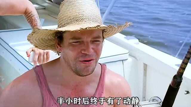 水下之秘2/3,深海下神秘生物