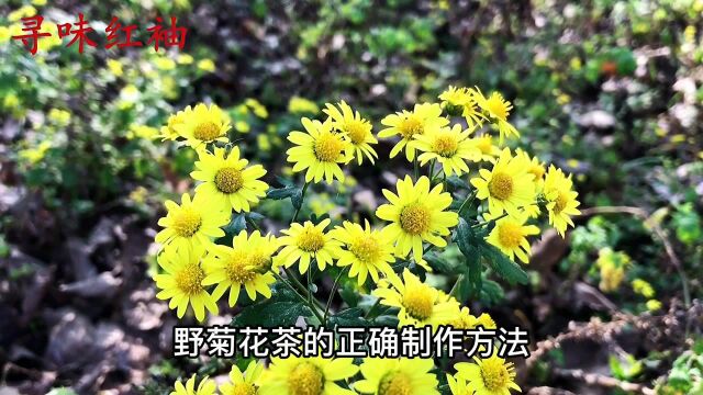 农村的野菊花是个宝,教你制作菊花茶的方法,简单实用