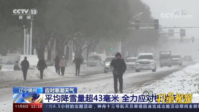 辽宁锦州平均降雪量超43毫米,全力应对极端天气