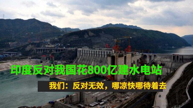 印度反对我国花800亿建水电站,我们:反对无效,哪凉快哪待着去