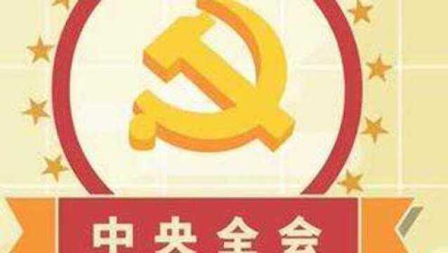 100秒了解十九届六中全会 #十九届六中全会