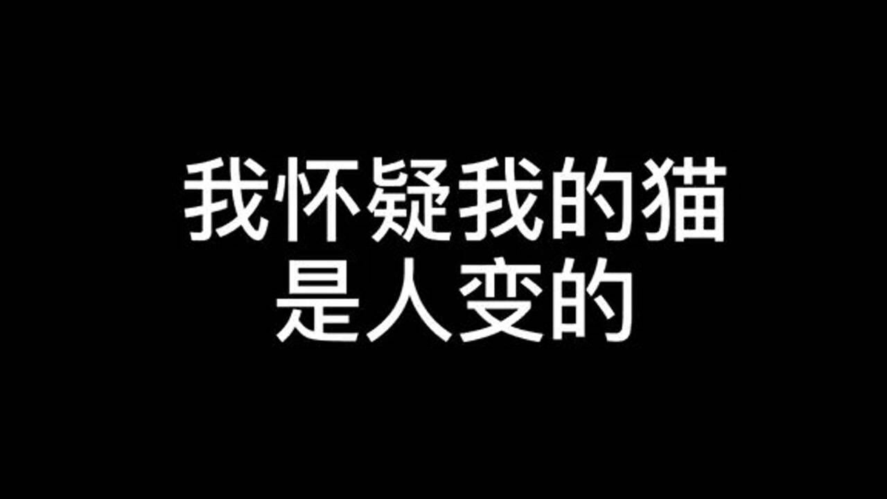 汤圆最后卑微求饶的样子真的让人心(hao)疼(xiao)腾讯视频