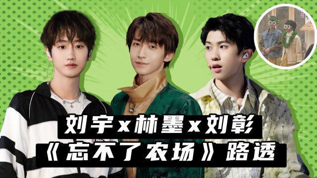 忘不了农场最新路透刘宇x林墨x刘彰爆笑草裙舞盛装出席太欢乐