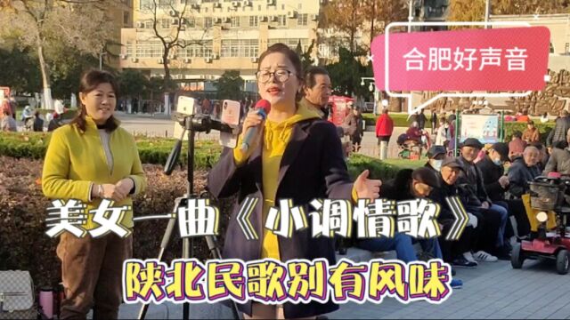 美女一曲《小调情歌》陕北风情,委婉动听,太感人了!