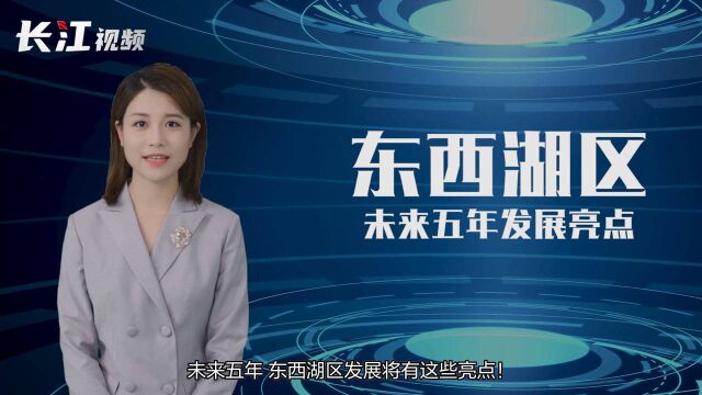 AI主播解读党代会报告 | 建设宜居宜业的东西湖!未来五年我们这样干