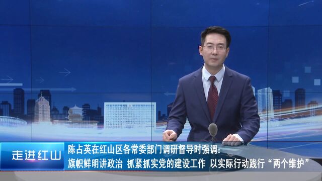 抓紧抓实党的建设工作 以实际行动践行“两个维护”