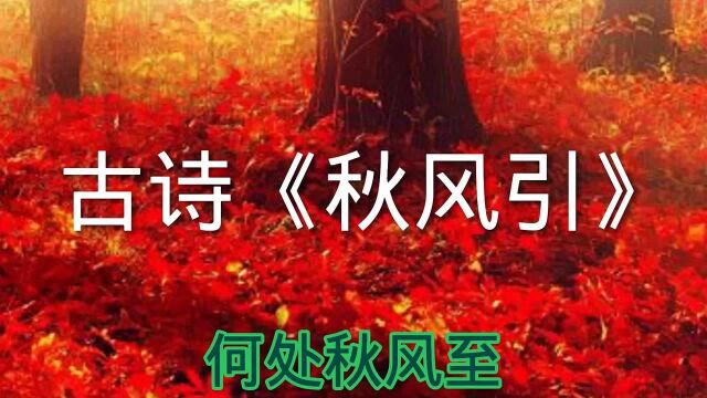 小学必会的古诗《秋风引》