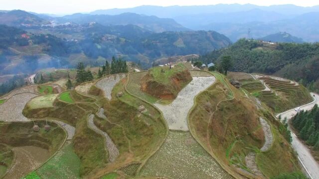 山上有田,田中有山,当地人都称是大山的心,农民种田都不敢铲除