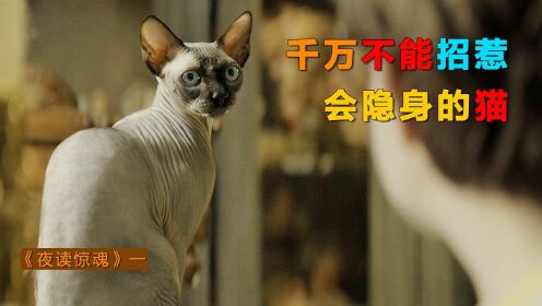 [图]小男孩招惹了会隐身的猫，结果被女巫给抓了