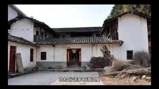 什么是滴泪屋