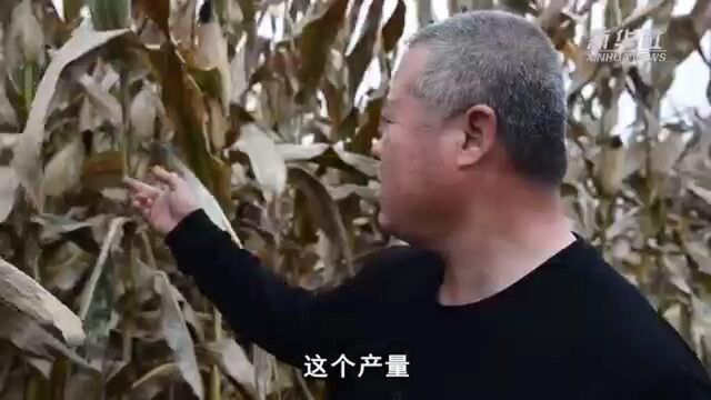 现代农业“打开方式”新观察