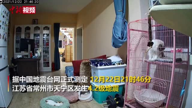 江苏常州地震发生瞬间猫咪疯狂寻找“避难所”