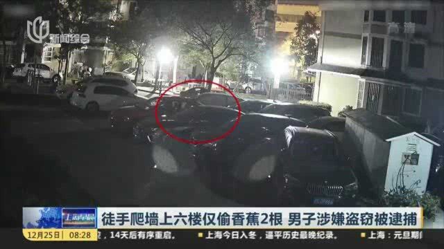 徒手爬墙上六楼仅偷香蕉2根 男子涉嫌盗窃被逮捕