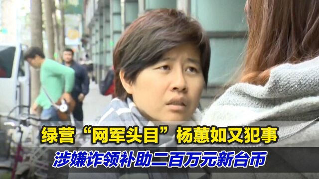 绿营“网军头目”杨蕙如又犯事,涉嫌诈领补助二百万元新台币