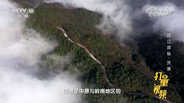 灵渠的兴建,促进了中原与岭南地区的经济与文化交流