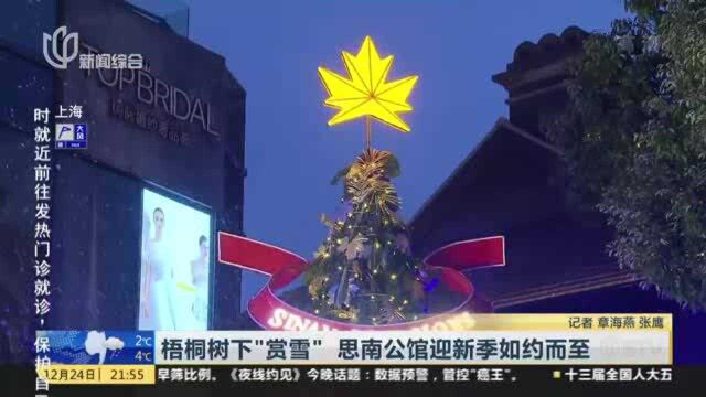 梧桐树下“赏雪” 思南公馆迎新季如约而至