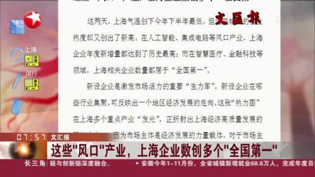 文汇报:这些“风口”产业,上海企业数创多个“全国第一”