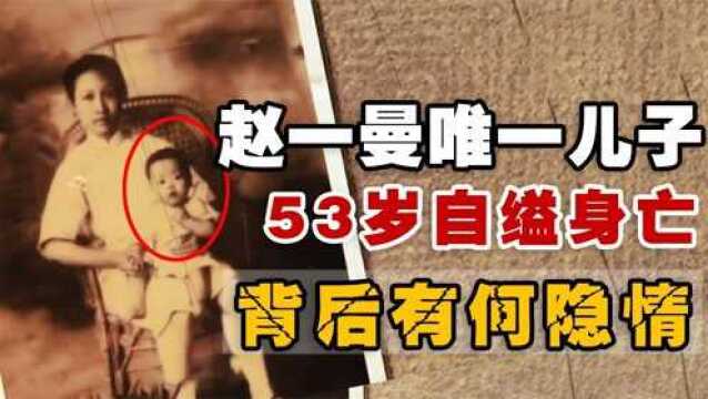  赵一曼唯一儿子陈掖贤,建国后受到国家照顾,为何却在53岁自缢?