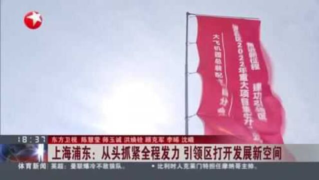 上海浦东:从头抓紧全程发力 引领区打开发展新空间