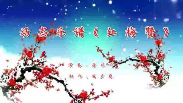 笛子演奏曲《红梅赞》有声动态简谱